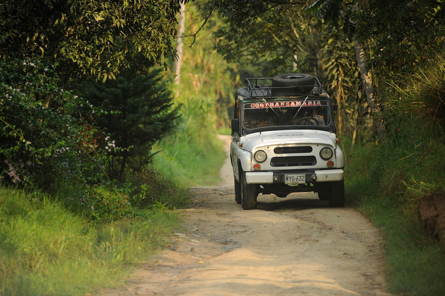 Colombie- Golden Huila - Espresso