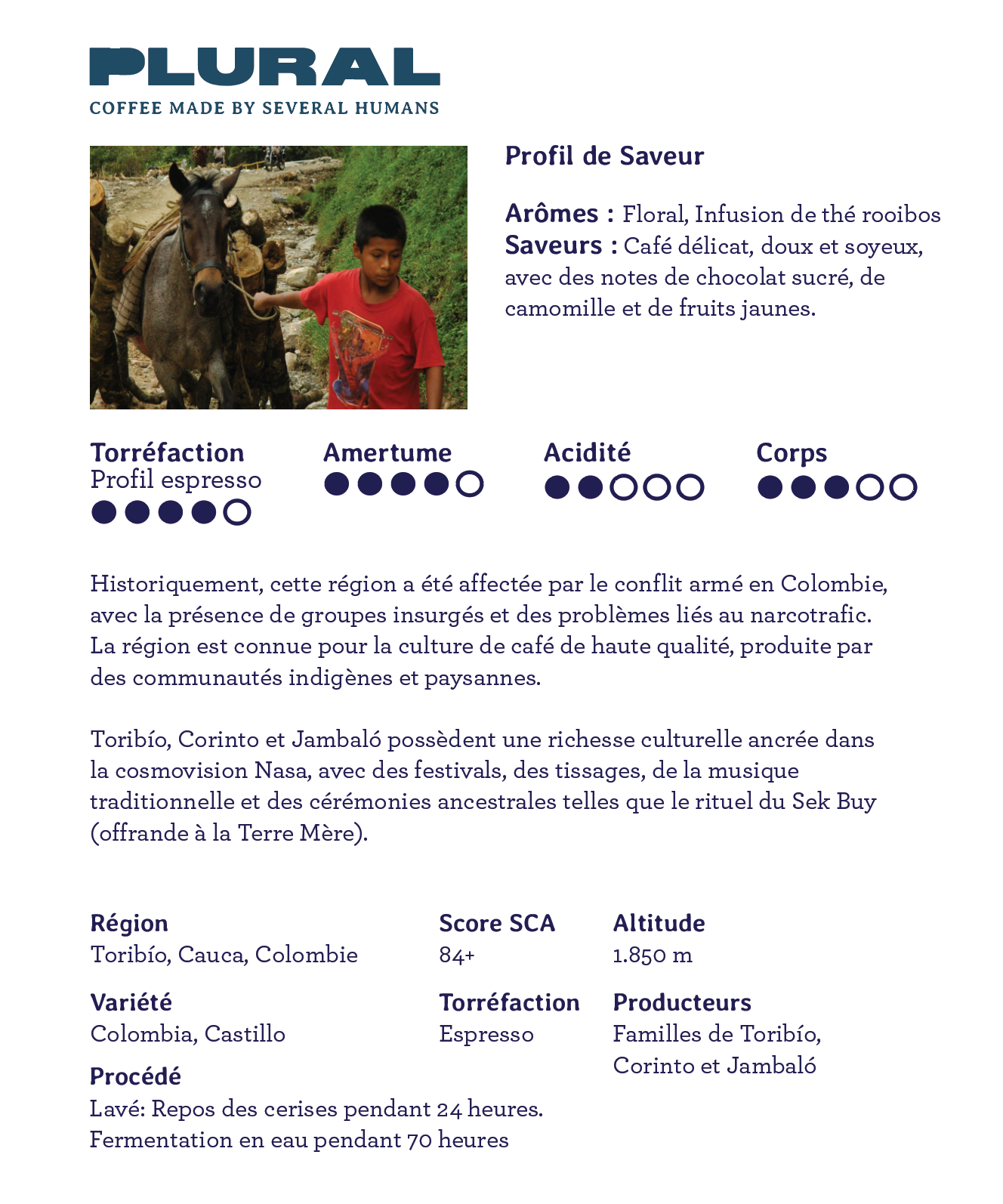 Brazil - Regenerative Agriculture
