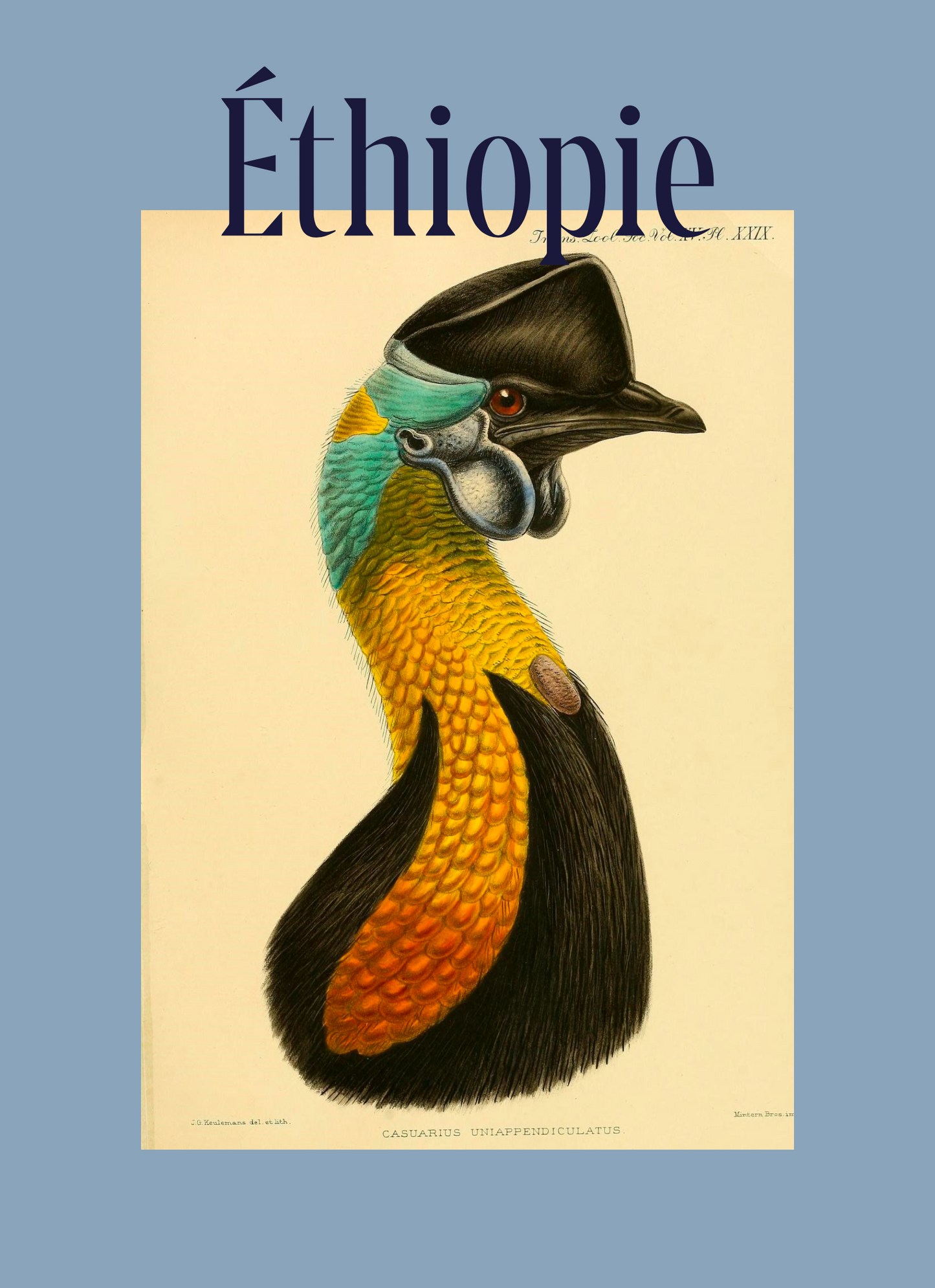 Ethiopie - Bishan Fugu - Guji