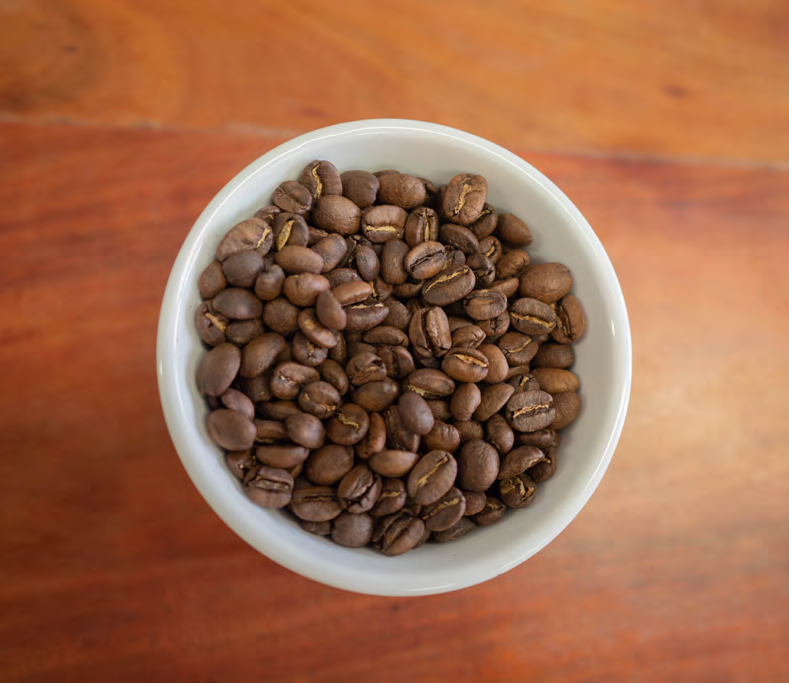 Nicaragua - Maracaturra