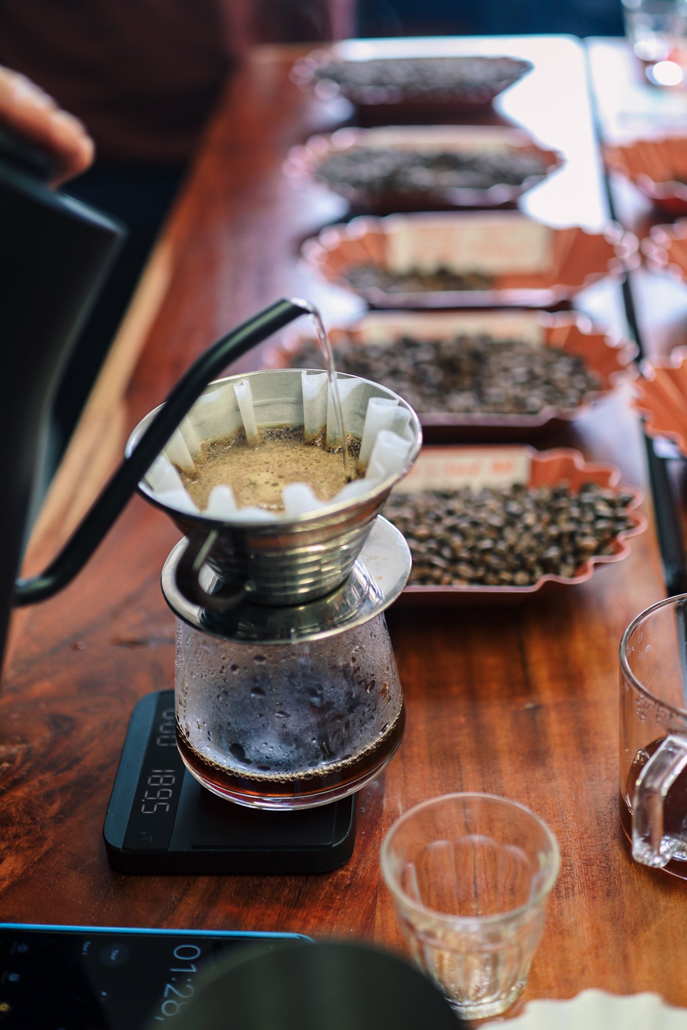 Atelier Sensoriel -  Réveille tes sens au monde du café