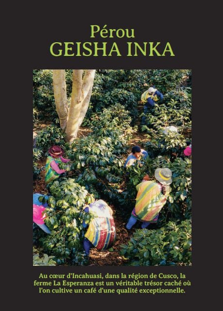 Pérou - Geisha Inka - 150g