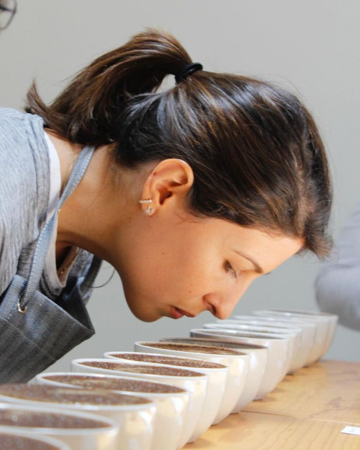 Atelier Sensoriel -  Réveille tes sens au monde du café