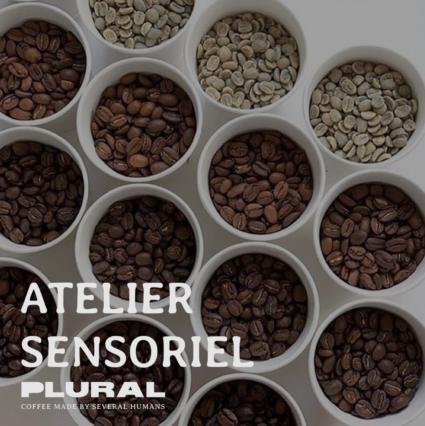 Atelier Sensoriel -  Réveille tes sens au monde du café