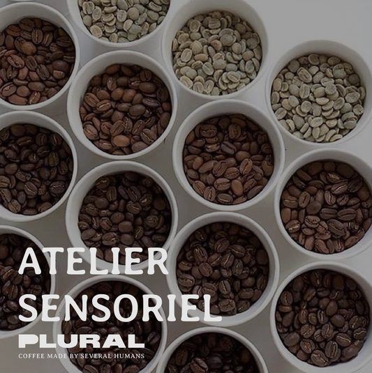 Atelier Sensoriel -  Réveille tes sens au monde du café