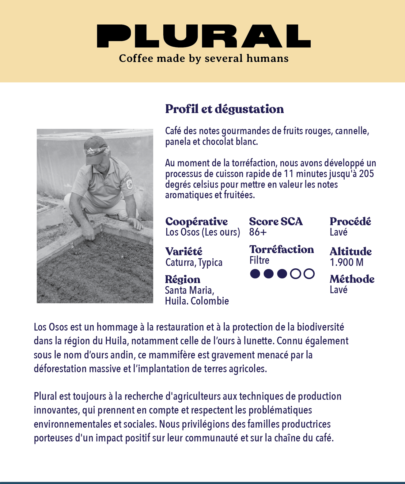 Colombia - LOS OSOS Restaurer et protéger la biodiversité