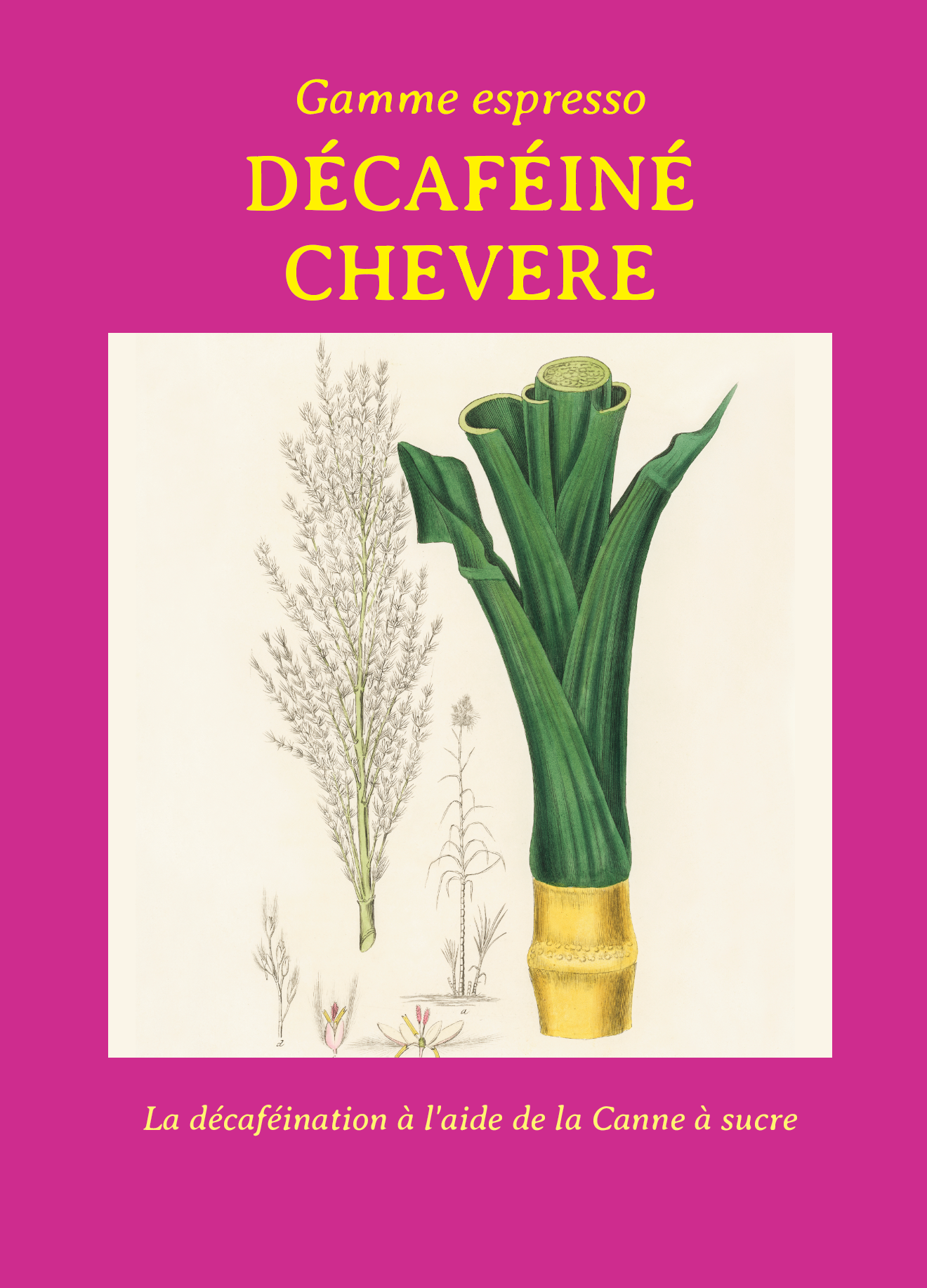 Colombie- Decaf Chevere