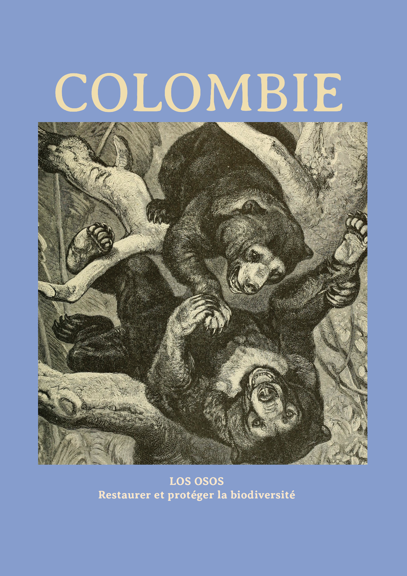 Colombia - LOS OSOS Restaurer et protéger la biodiversité