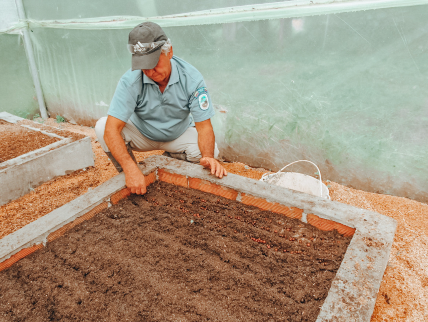 Colombia - LOS OSOS Restaurer et protéger la biodiversité