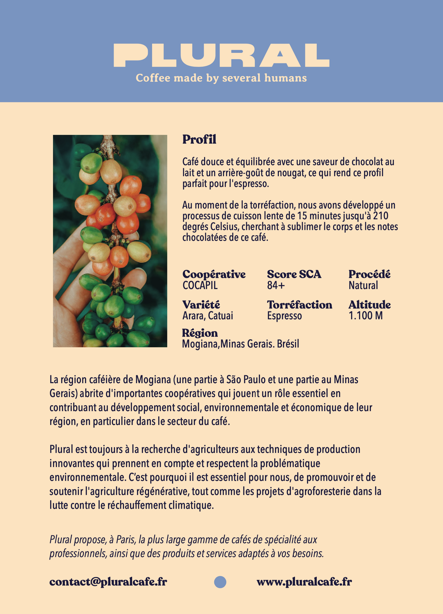 Brésil - Nature - Espresso