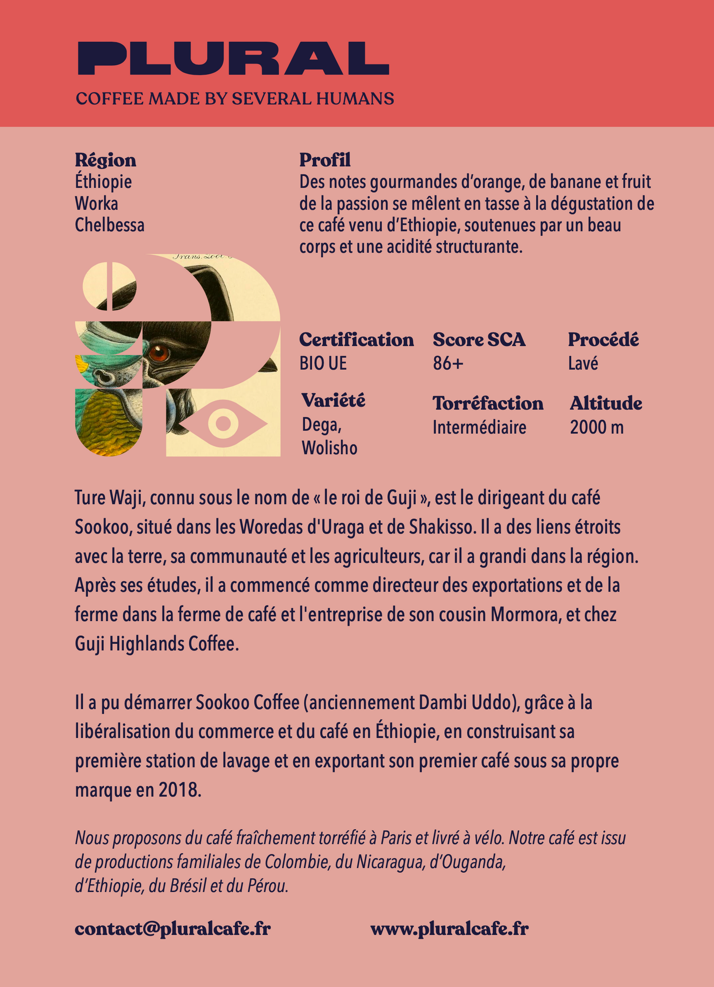 Ethiopie - Bishan Fugu - Guji