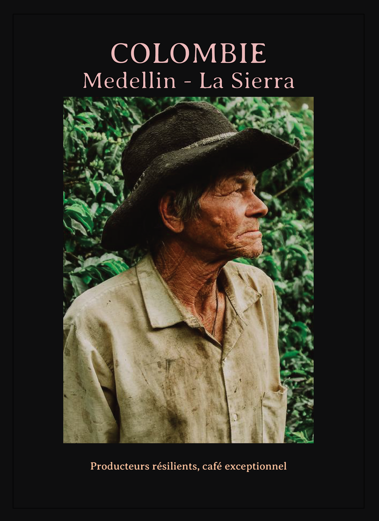 Colombia - La Sierra - Honey