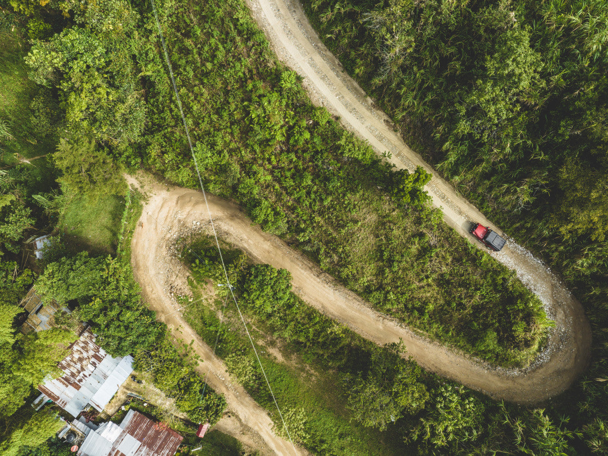 Colombia - LOS OSOS Restaurer et protéger la biodiversité