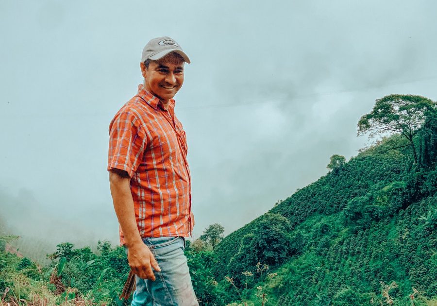 Brésil - Nature - Espresso