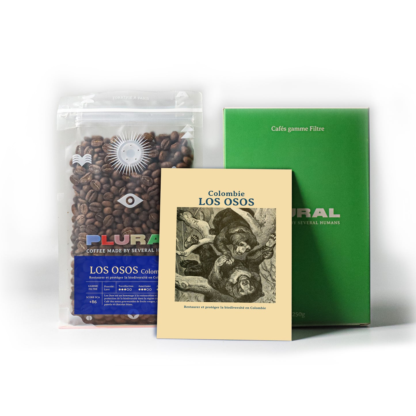 Colombia - LOS OSOS Restaurer et protéger la biodiversité