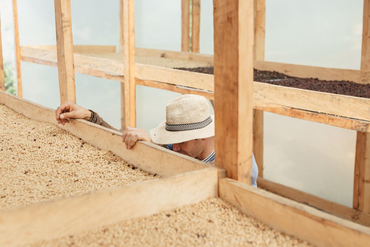 Colombia - La Sierra - Honey