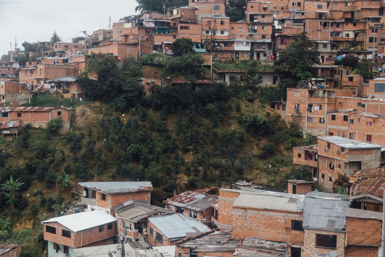 Colombia - La Sierra - Honey