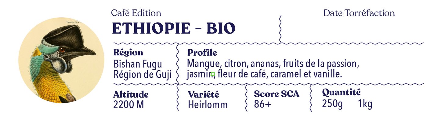 Ethiopie - Bishan Fugu - Guji