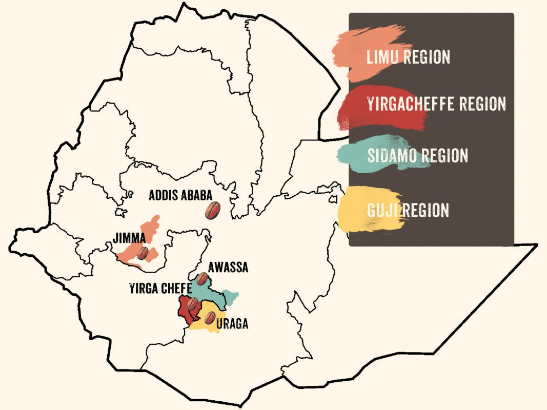 Ethiopie - Bishan Fugu - Guji